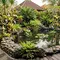 5 Cara Lindungi Kolam Ikan dari Predator Tanpa Merusak Keindahan Taman