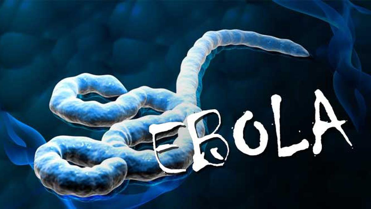 Ilmuwan China Rekayasa Virus Ebola, Hasilkan Virus yang Lebih Berbahaya -  Global Liputan6.com