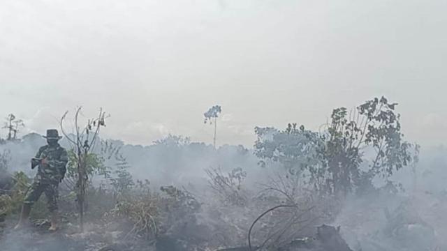 Pemkab Aceh Barat Tetapkan Status Darurat Bencana Kebakaran Hutan dan Lahan Selama 14 Hari