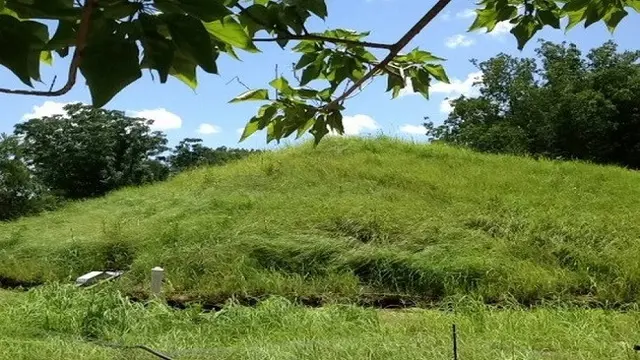 Hunian unik 