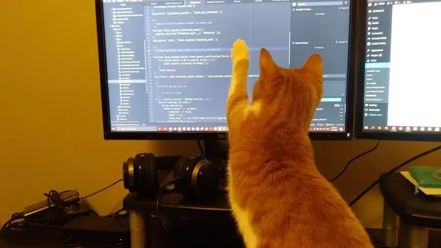 8 Potret Kucing saat Bantu Pemiliknya Kerja Ini Bikin Gemas