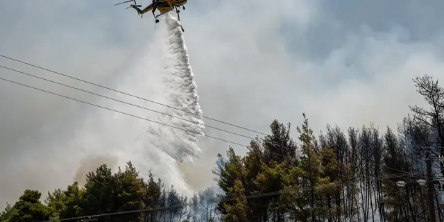 Kebakaran Hutan, Nyaris Separuh Pulau di Yunani Hangus Terbakar