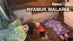  Para peneliti menemukan bahwa Anopheles arabiensis, salah satu spesies nyamuk yang dominan transmisi malaria di bagian Shara Afrika, menghindari ayam ketika mencari makhluk itu mencari makan.