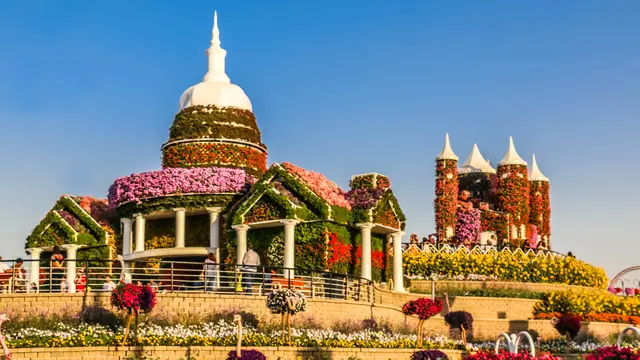Dubai Miracle Garden.