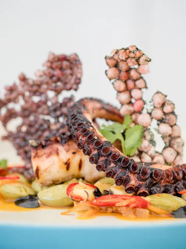 Grilled Octopus, Patai braised in citrus extra virgin