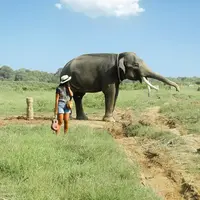 Taman Nasional Way Kambas, Lampung. (Instagram/yogap1313)