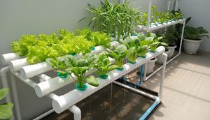 Kebun Sayur Hidroponik Sederhana di Teras Teduh/Inspirasi Kebun Sayur Mini untuk Teras Kecil yang Teduh (Sumber; gemini.com)