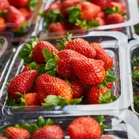 ilustrasi/copyright pexels.com/Engin Akyurt