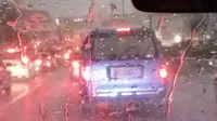 Hujan Guyur Jakarta, Cek Titik Genangan dan Pohon Tumbang