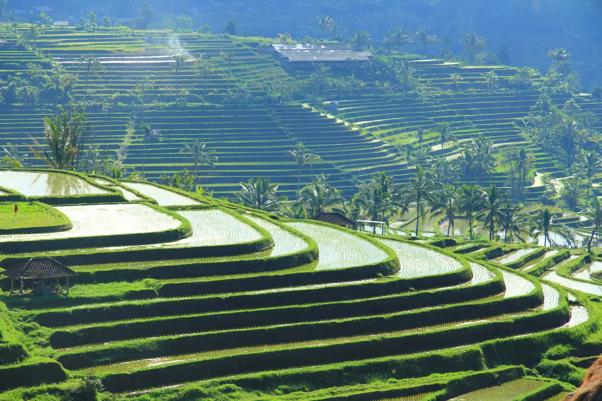 [Bintang] Bali