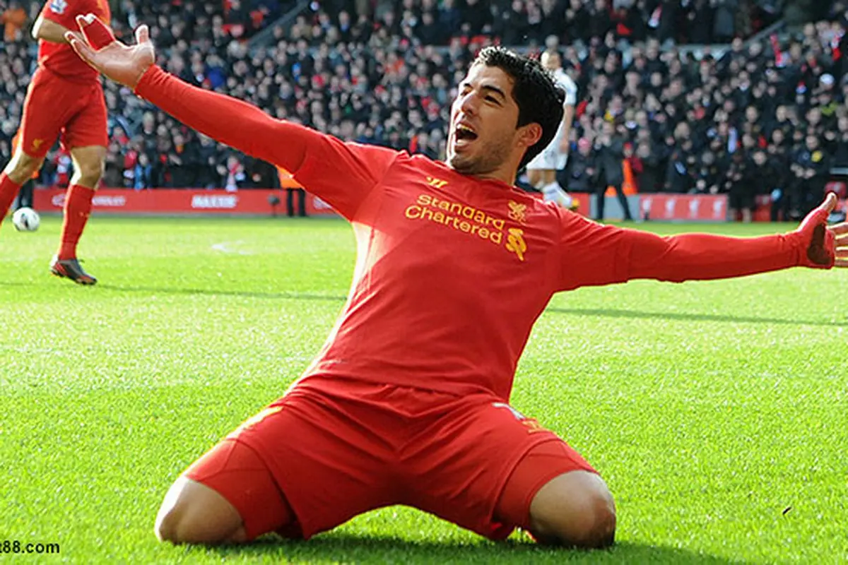 suarez-130818c.jpg