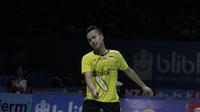 Tunggal putra Indonesia, Anthony Sinisuka Ginting, saat melawan wakil Jepang, Kento Momota, pada Indonesia Open di Istora Senayan, Kamis, (5/7/2018). Anthony Ginting takluk 14-21, 15-21. (Bola.com/M Iqbal Ichsan)