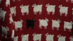 Sweater ini akan menjadi barang yang akan dilelang dalam lelang Fashion Icons perdana Sotheby's. (AP Photo/Frank Augstein)