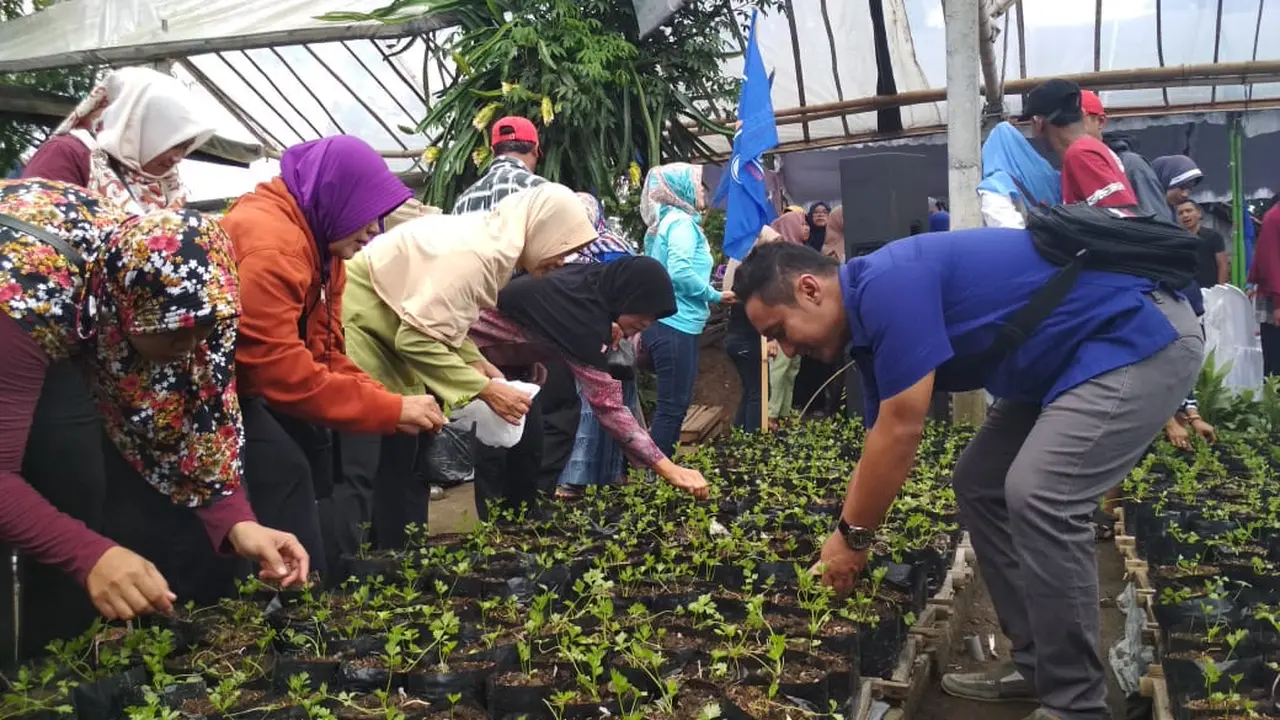 Seledri Kediri