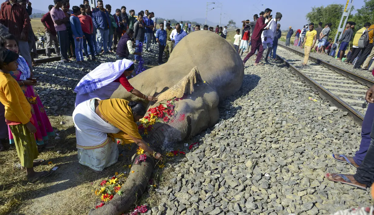 Penduduk desa memberikan penghormatan kepada salah satu dari dua gajah yang mati setelah bertabrakan dengan kereta di Morigaon, Assam, India, Rabu (1/12/2021). Dua gajah mati setelah ditabrak kereta Rajdhani Express. (Biju BORO/AFP)