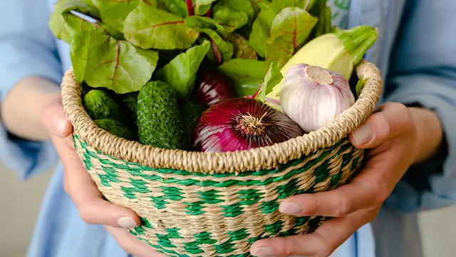 Terdapat Banyak Manfaat Mengonsumsi makanan Organik