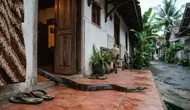 7 Cara Mencegah Ular Masuk Rumah, Lupakan Penggunaan Garam