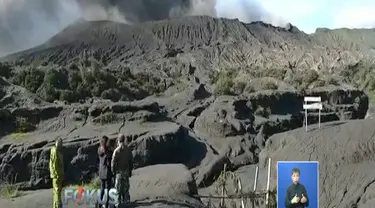 Meski Bromo sedang erupsi, namun aktivitas wisata di sekitar lautan pasir yang berjarak kurang lebih 2 kilometer dari kawah gunung masih terlihat normal.