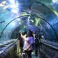 Pengunjung melihat ikan di Seaworld Ancol, Jakarta, Selasa (5/2). Libur Tahun Baru Imlek 2570 ancol masih menjadi tempat wisata pilihan untuk warga Jakarta dan sekitarnya. (Liputan6.com/Johan Tallo)