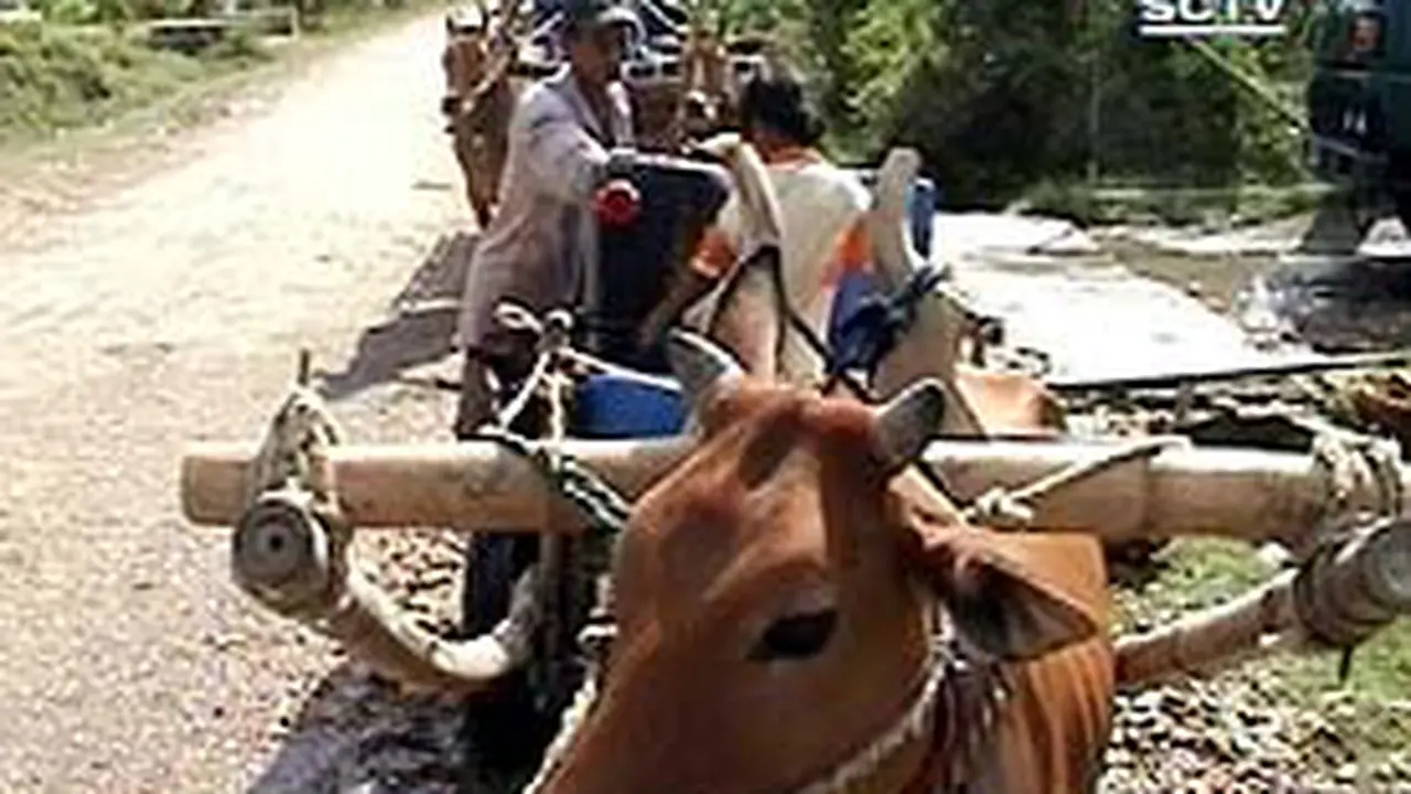 220704aMadura.jpg