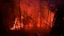 Api membakar hutan dan lahan (karhutla) di Pekanbaru, Riau, Jumat (13/9/2019). Badan Meteorologi, Klimatologi dan Geofisika (BMKG) Pekanbaru pada Jum'at pagi menyatakan jarak pandang di Pekanbaru hanya 300 meter. (ADEK BERRY/AFP)