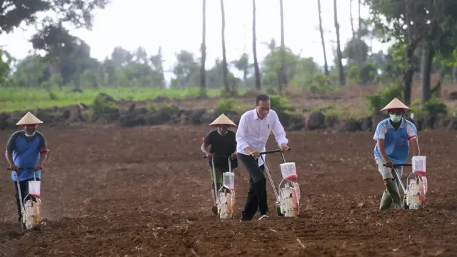 jokowi