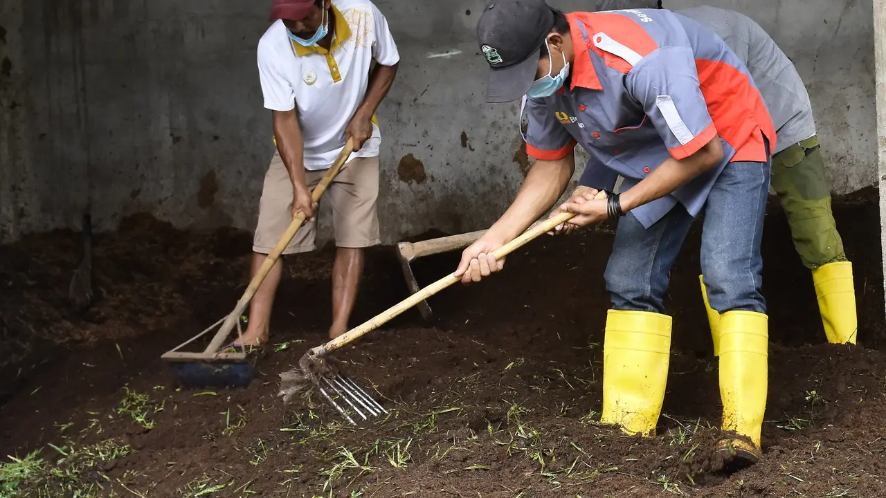 Kisah Sukses Pengusaha Pupuk Bokasi, Banjir Rezeki Sejak Pensiun PETI
