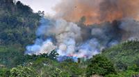 Kebakaran Hutan dan Lahan (Karhutla) di wilayah Provinsi Kalimantan Selatan. (Liputan6.com/Aslam Mahfuz)