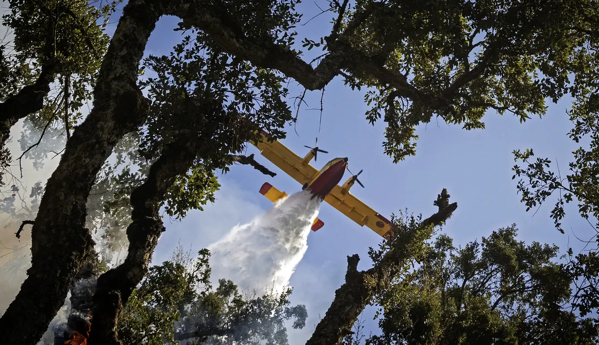Sebuah pesawat Royal Moroccan Air Force Canadair memadamkan kebakaran hutan di wilayah Chefchaouen, Maroko, 17 Agustus 2021. Pesawat pemadam kebakaran digunakan untuk mengatasi kebakaran yang telah menghancurkan sekitar 200 hektare hutan. (FADEL SENNA/AFP)
