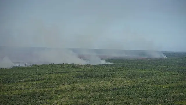 Kebakaran lahan di Riau yang berhasil dipotret petugas dari udara.