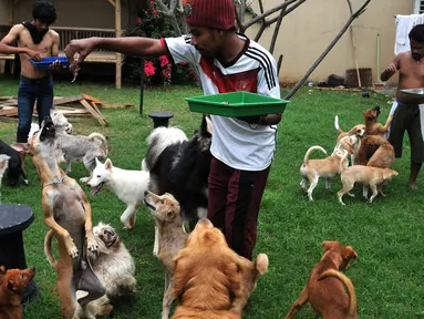 Sebuah rumah di perumahan Ganda Asri 2, Tangerang, riuh dengan suara gonggongan puluhan ekor anjing yang terdapat di dalamnya. Para anjing dan kucing di rumah itu tampak terawat dan memberi kesan ramah terhadap tamu yang datang. (Liputan6.com/Johan Tallo)