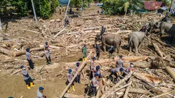 Sebelumnya, banjir bandang melanda Meureudu, Pidie Jaya, Aceh, pada Rabu 26 November 2025. Tampak foto menunjukkan pandangan udara tim pencari dan penyelamat gabungan mengerahkan gajah Sumatra untuk membantu membersihkan puing-puing pohon pasca banjir bandang di Meureudu, Kabupaten Pidie Jaya, Provinsi Aceh, pada Senin 8 Desember 2025. (CHAIDEER MAHYUDDIN/AFP)