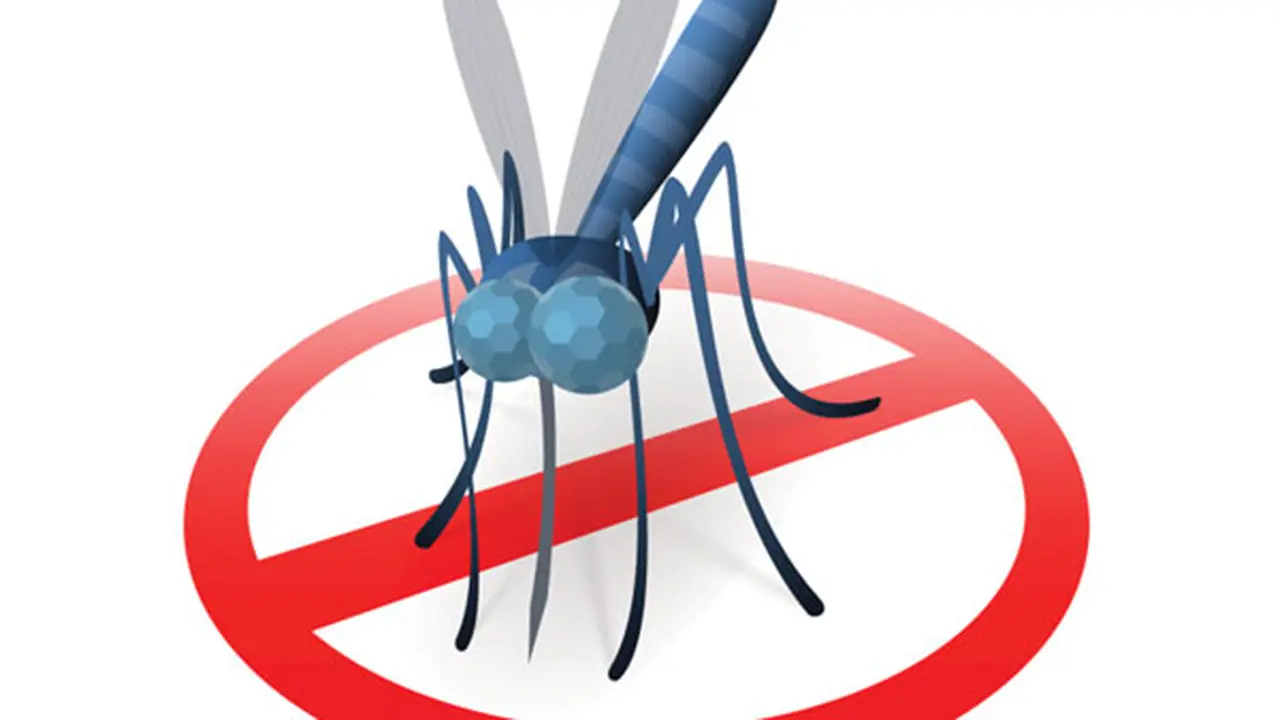 7 Fakta Tentang Malaria