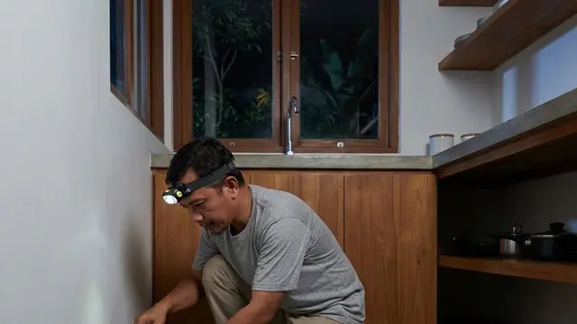 Cara Ampuh Usir Kecoak dan Tikus Sekaligus dalam Satu Malam
