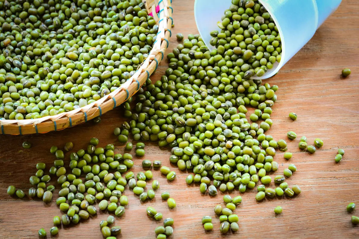 Kacang hijau
