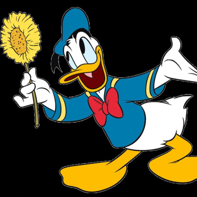 9 6 1934 Debut Perdana Donald Bebek Di Dunia Film Global Liputan6 Com