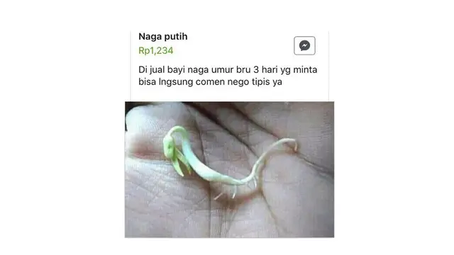 6 Barang Aneh yang Dijual di Facebook, di Luar Nalar