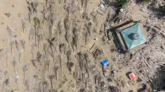 Foto udara yang diambil menggunakan drone menunjukkan pohon-pohon kelapa sawit yang tumbang akibat banjir bandang di desa Sekumur, Aceh Tamiang, Senin, 29 Desember 2025. Musibah banjir bandang yang melanda wilayah Aceh Tamiang pada 26 November 2025 lalu menyisakan pemandangan pilu di Desa Sekumur, Kecamatan Sekerak. (AP Photo/Binsar Bakkara)