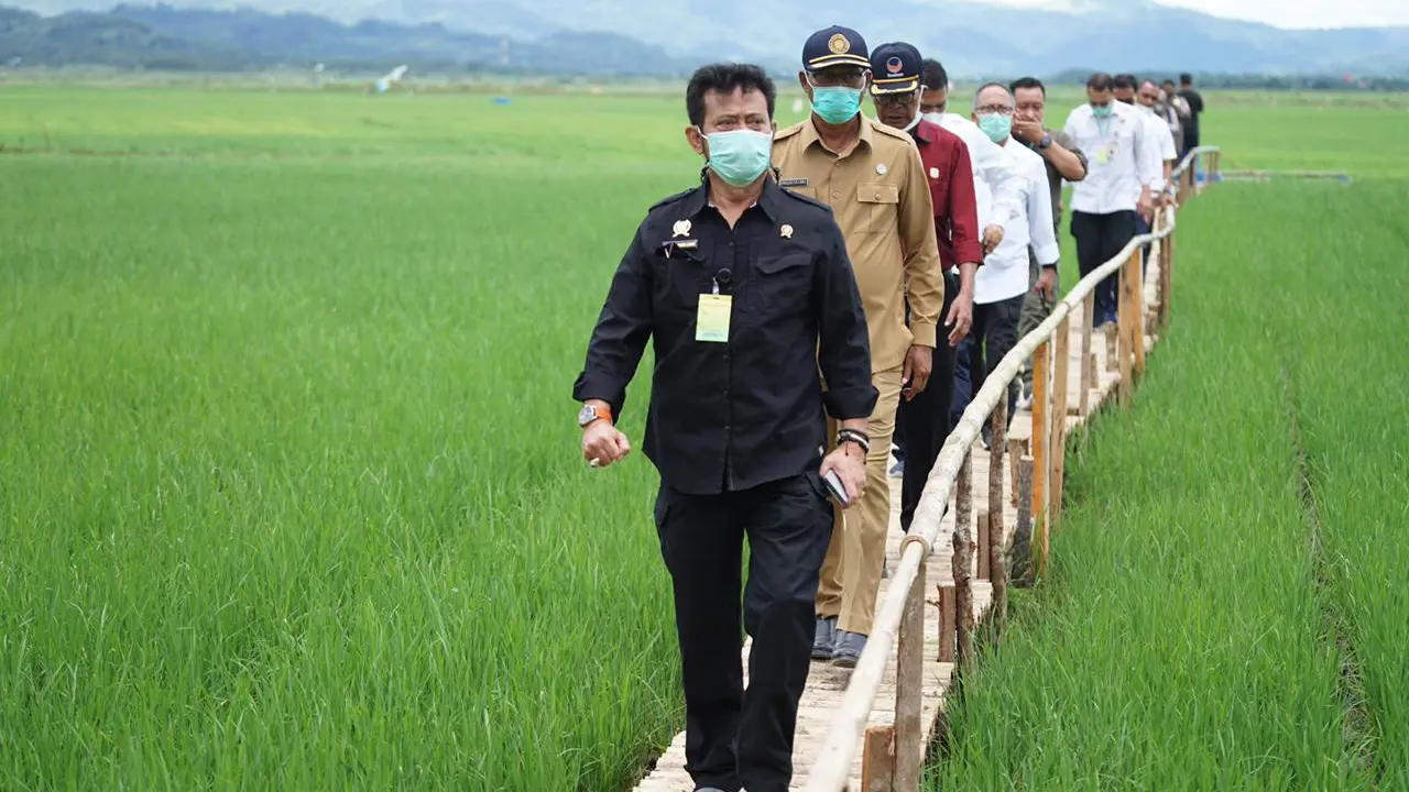Mentan Syahrul Yasin Limpo