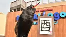 Leo berpose sambil menggigit kuas saat latihan membuat aksara Tiongkok di Hakkeijima Sea Paradise akuarium di Yokohama, Tokyo, Jepang (26/12). Arti tulisan tersebut adalah Rooster atau Ayam jantan. (AFP/Kazuhiro Nogi)