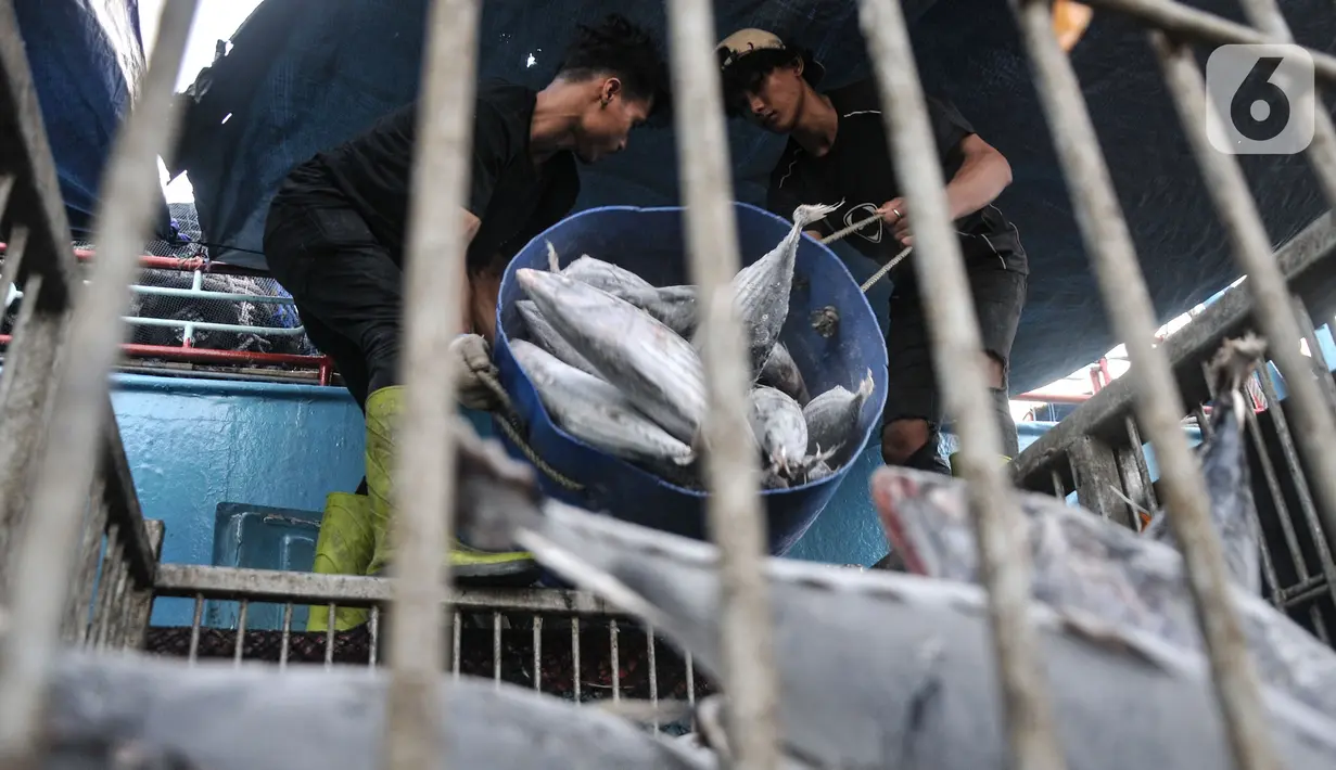 Aktivitas nelayan melakukan bongkar muat ikan hasil tangkapan dari kapal saat berlabuh di Pelabuhan Nizam Zachman, Muara Baru, Jakarta, Rabu (10/5/2023). (merdeka.com/Iqbal S Nugroho)