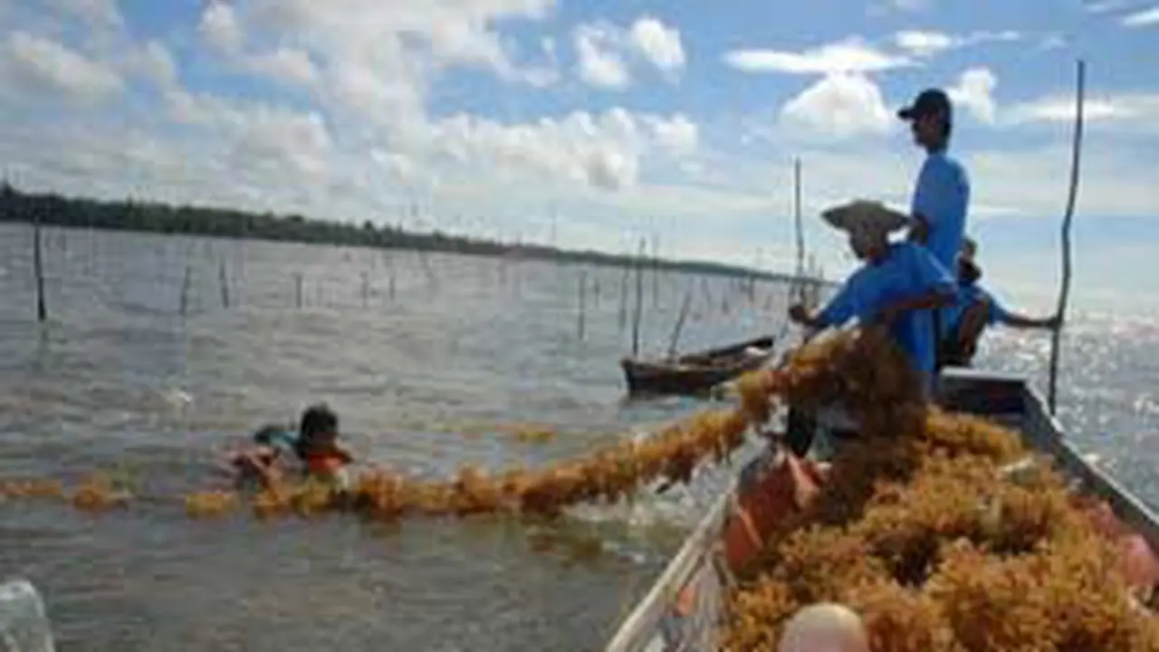 liputan6