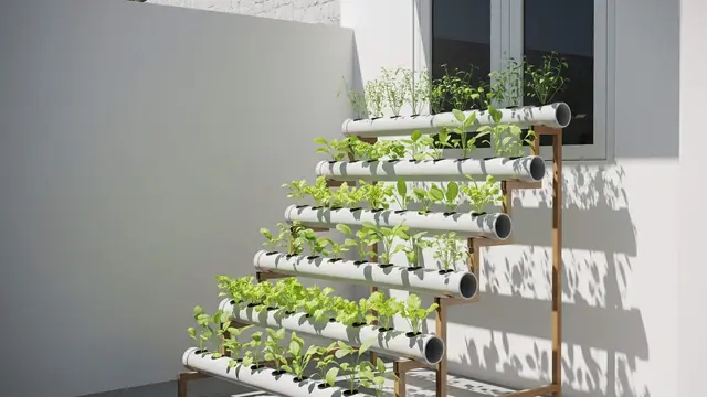 Desain Kebun Sayur Pakai Pipa untuk Rumah Minimalis