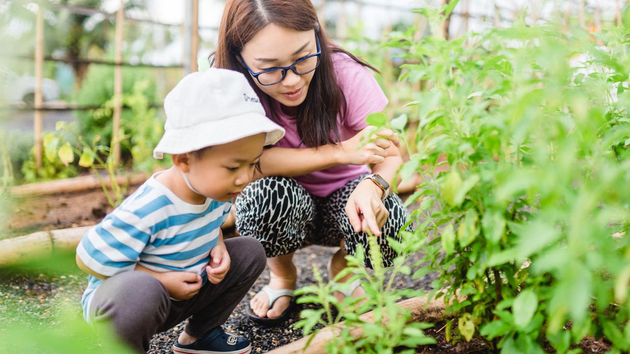 Ilustrasi berkebun bersama anak