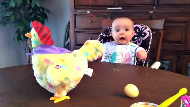 Lucunya Keceriaan Bayi Melihat 'Ayam' Bertelur 