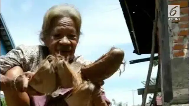 Rostina (89 tahun), seorang nenek renta di Mamuju Utara Sulawesi Barat berjuang hidup seorang diri di sebuah gubuk tua.