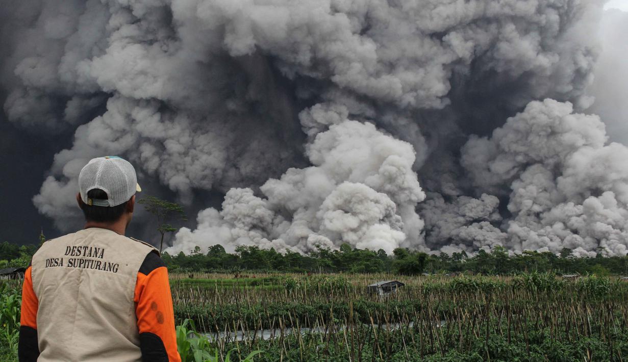 Masyarakat dilarang melakukan aktivitas apa pun dalam radius 20 kilometer dari puncak, terutama di sepanjang aliran Besuk Kobokan, karena adanya ancaman lahar dan awan panas. Tampak dalam foto, seorang pria memandang aliran piroklastik selama letusan Gunung Semeru di Lumajang, Jawa Timur, pada Rabu 19 November 2025. (Agus Harianto/AFP)