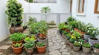 7 Ide Kebun Rumah Campuran Sayur Buah dan Tanaman Hias dalam Satu Area