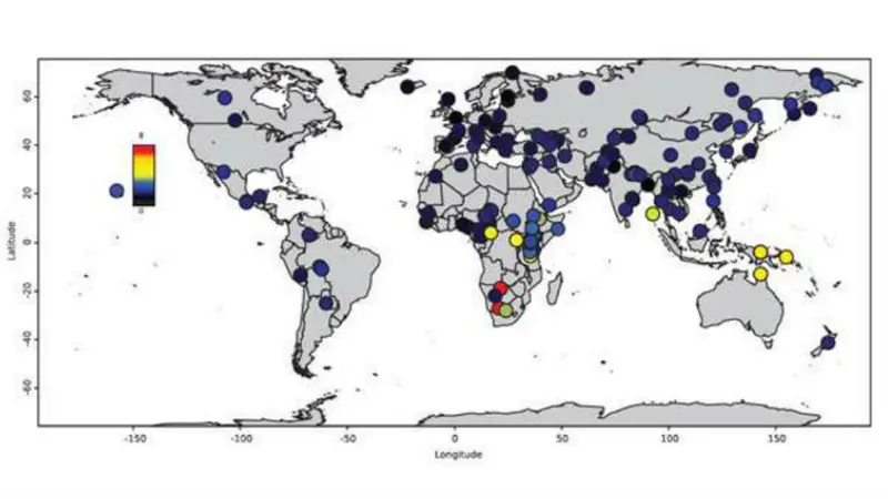 Human's single migration (0)