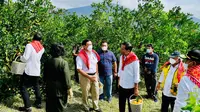 Presiden Jokowi meninjau kegiatan penanganan Jalan Liang Melas Datas, Kabupaten Karo, Provinsi Sumatera Utara yang merupakan akses menuju kawasan penghasil jeruk, Kampung Jeruk, Jumat (4/2/2022). (Biro Pers Sekretariat Presiden)